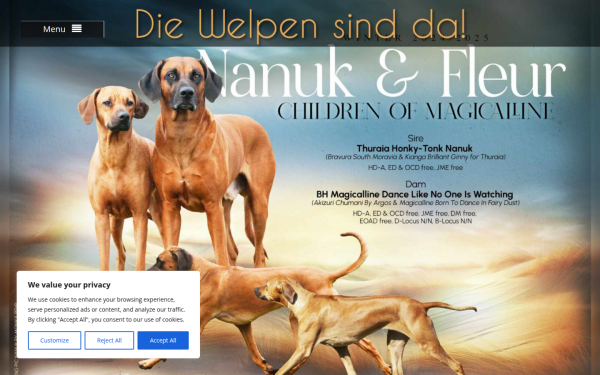 magicalline.de