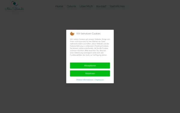 alien-schneider.de