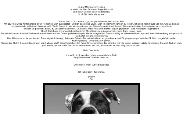 don-der-hund.de