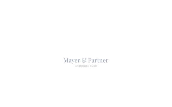 mayer-partner.de