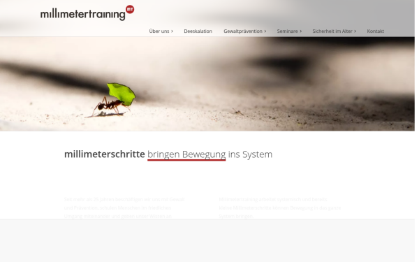 www.millimetertraining.de