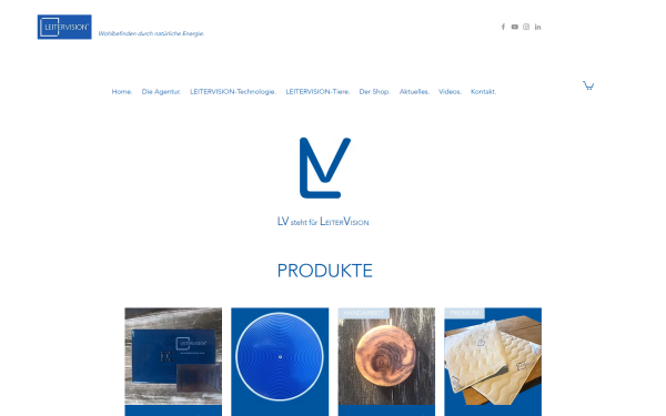www.leitervision.com