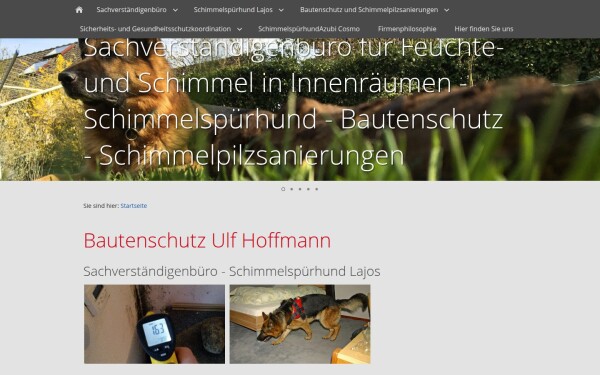 www.schimmel-spuerhund.de
