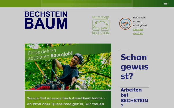 bechstein-baum.de