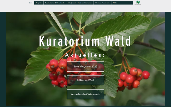 www.kuratoriumwald.com