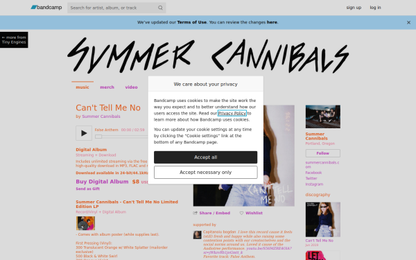 summercannibals.bandcamp.com