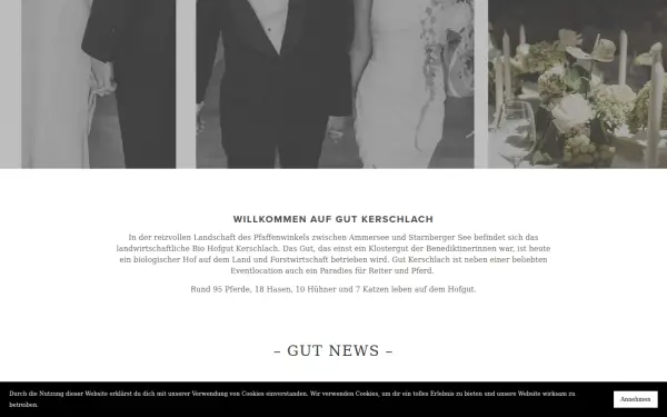 gut-kerschlach.com