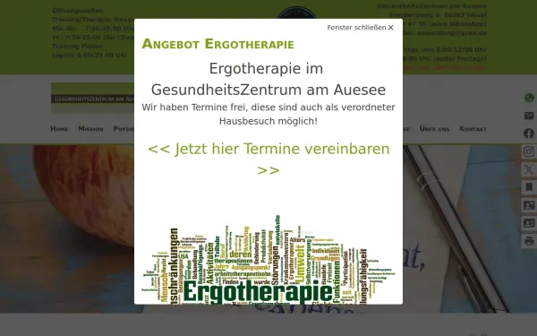 www.gesundheitszentrum-am-auesee.de