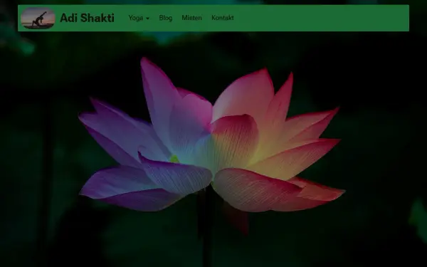 adi-shakti.de