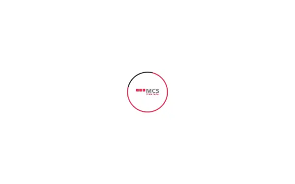 mcs-team.de