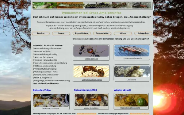 ameiseninfos.de