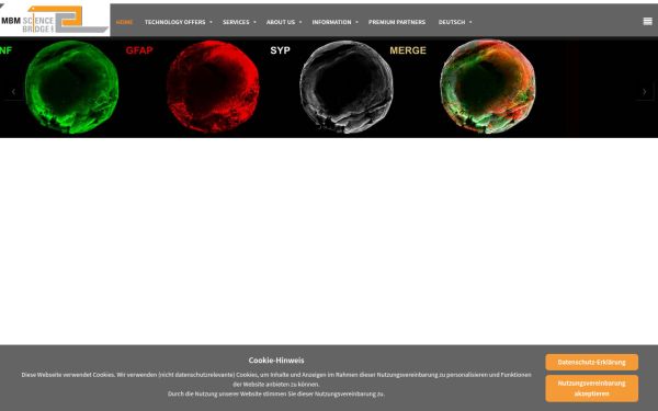 sciencebridge.de