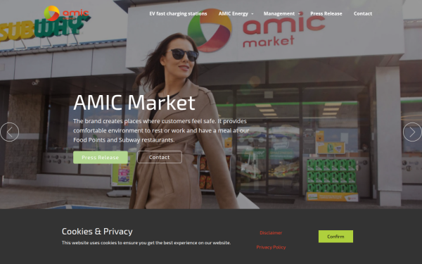 amicenergy.com