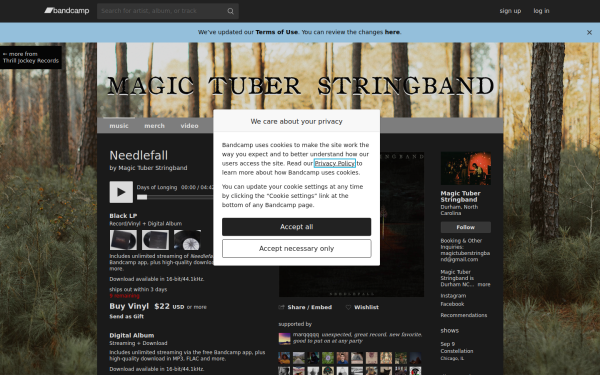 magictuberstringband.bandcamp.com