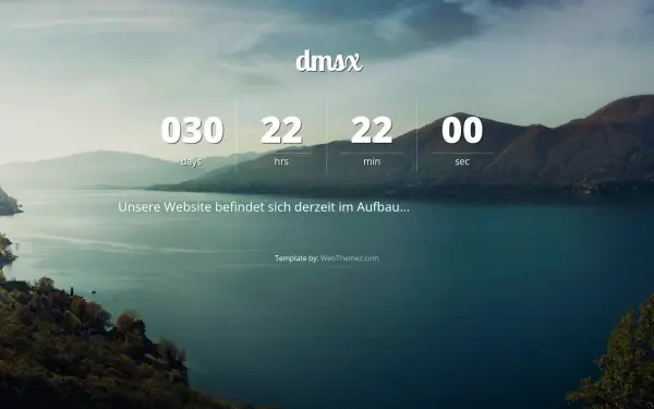 dmsx.de
