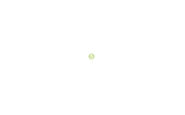 www.deck5.de