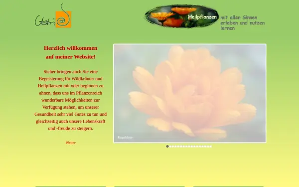 www.astrid-fiebich.de