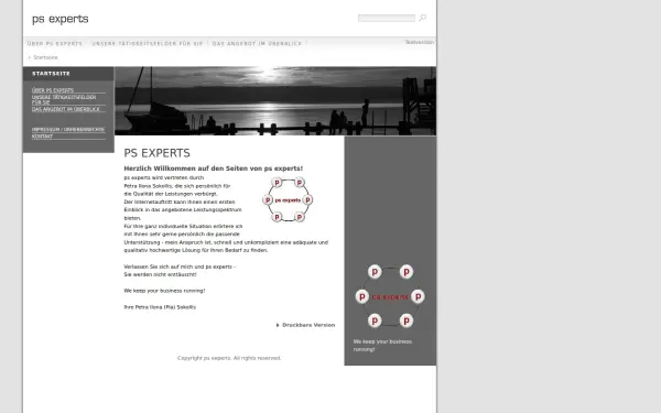 ps-experts.de