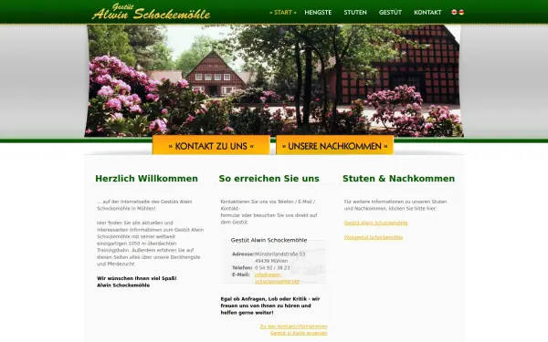 www.alwin-schockemoehle.net