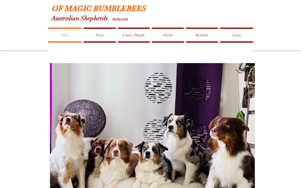 www.magicbumblebees.at