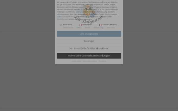 diebabysitterei.at