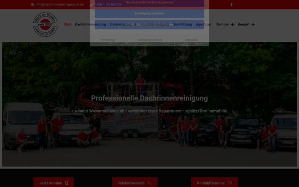 www.dachrinnenreinigung-sh.de