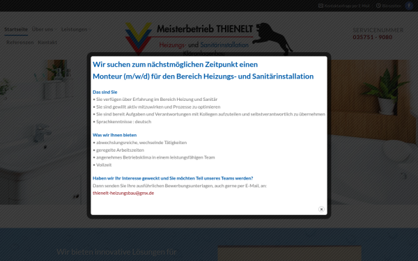 www.heizungsbau-thienelt.de