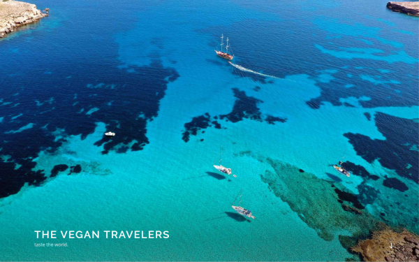 the-vegan-travelers.com