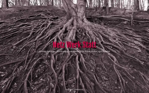 andrade-netzwerkstatt.de