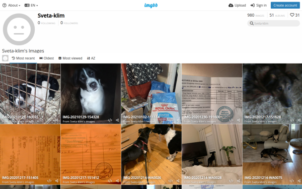 sveta-klim.imgbb.com