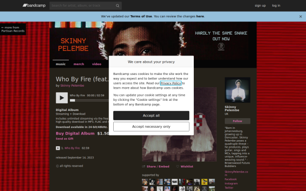 skinnypelembe.bandcamp.com