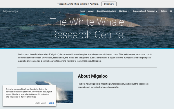 www.migaloo.com.au