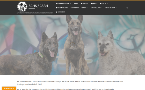 www.herdershond.ch