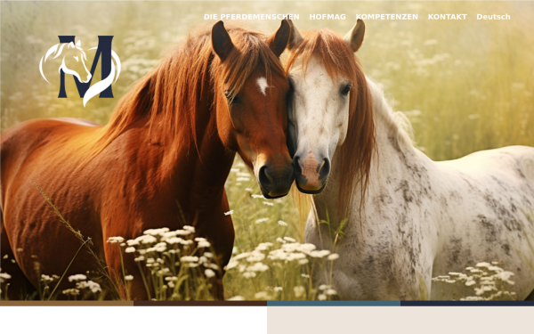 www.thehorsepeople.be