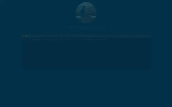 schwarz-daniel.com