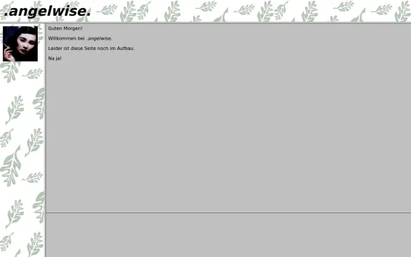 angelwise.de