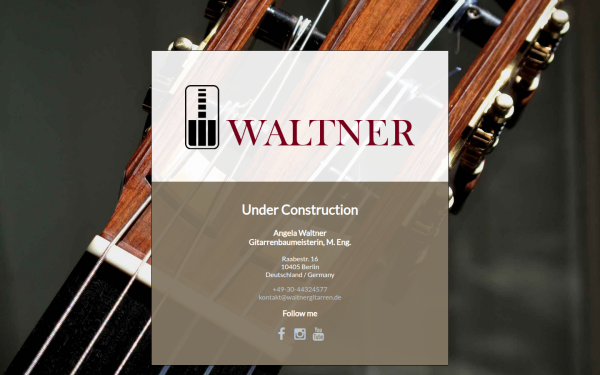 www.waltnergitarren.de