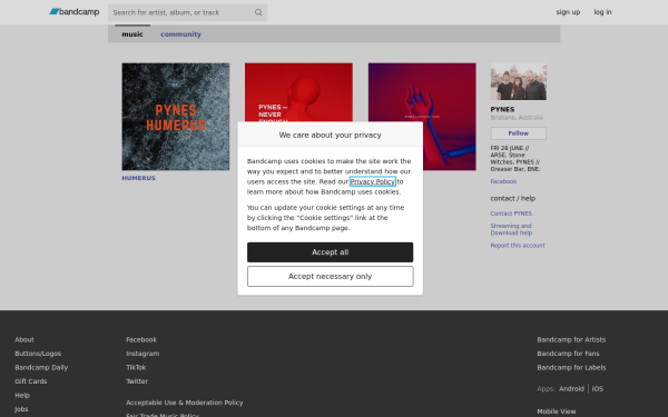 pynesband.bandcamp.com