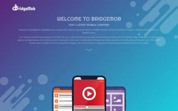 bridgemob.com