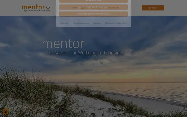 mentormarketing.de
