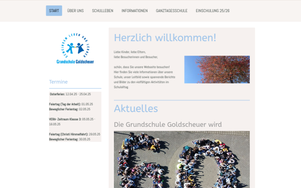 www.gs-goldscheuer.de