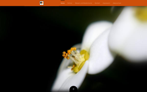www.mktrend.de
