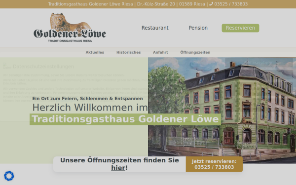 www.goldener-loewe-riesa.de