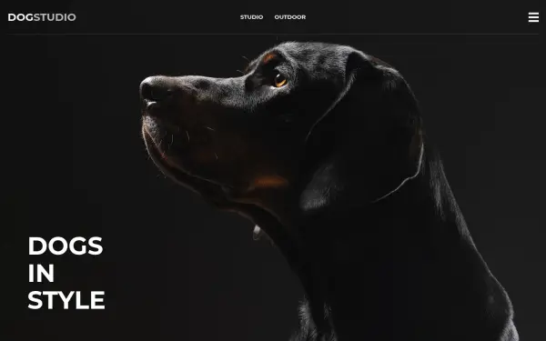 dog-studio.de