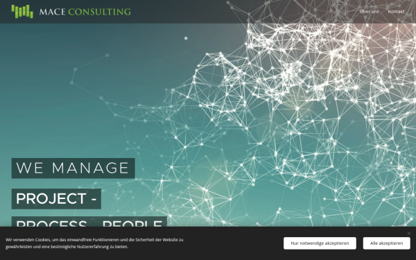 www.mace-consulting.de