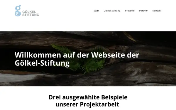 www.goelkel-stiftung.de