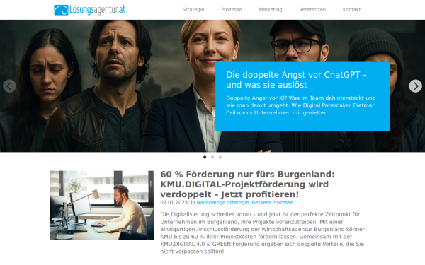 www.loesungsagentur.at