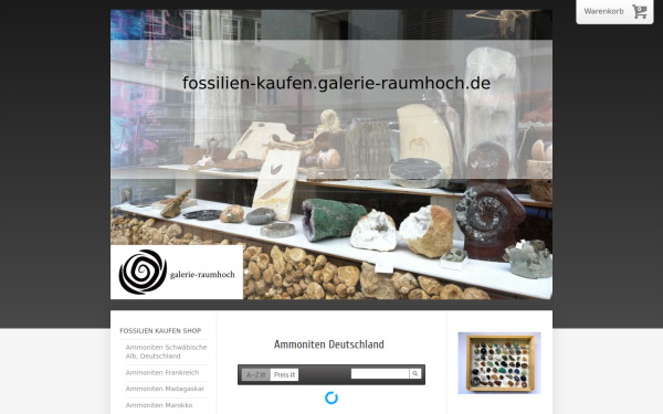 fossilien-kaufen.galerie-raumhoch.de