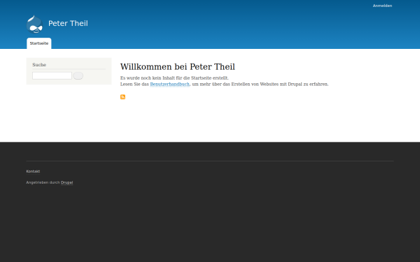 theil.biz