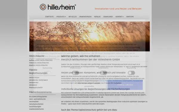 www.hillesheim-gmbh.de